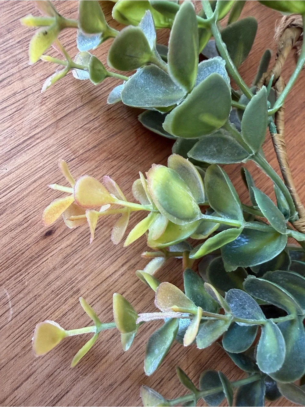 Target Green and Yellow Faux Boxwood Wreath Set